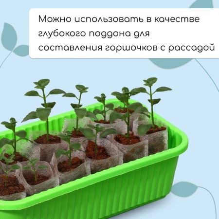 Box for seedlings, 28.5 × 15.5 × 8.5 cm, 2.5 l, green, Greengo-3