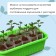 Box for seedlings, 28.5 × 15.5 × 8.5 cm, 2.5 l, green, Greengo