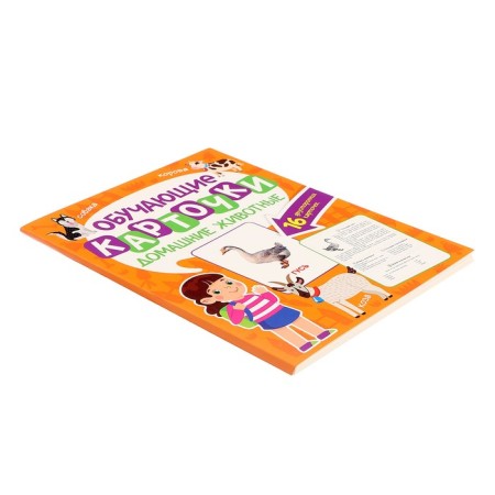 Training cards "Pets"-2
