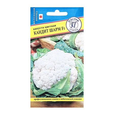 Seeds Cabbage Candide Sharm F1, C/P, 10 pcs.