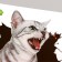 Stick 3D interior cat 30*20cm