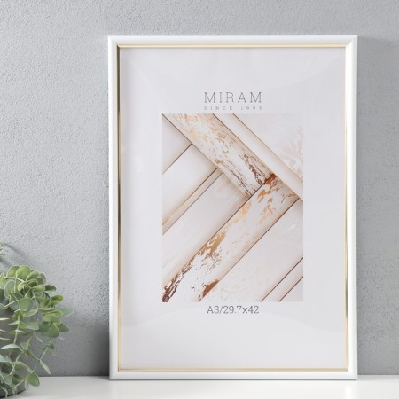 Photo frame Plastic Gallery 29.7x42 cm, (A3) 636461, white with gold (plastic screen)