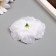 Budon on the leg for decoration "Rudbeckia White" 6.5x6.5 cm