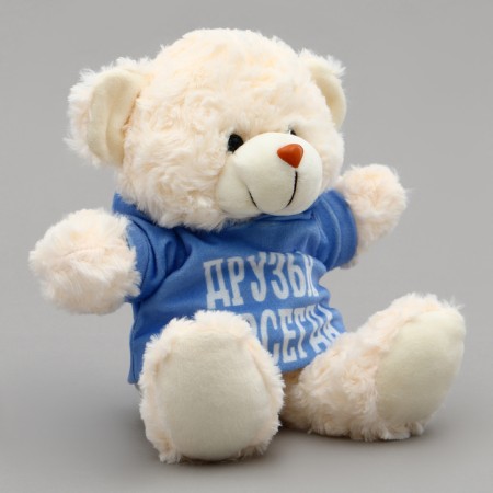 Soft toy Bear "Friends Forever" in the jacket-1