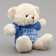 Soft toy Bear "Friends Forever" in the jacket