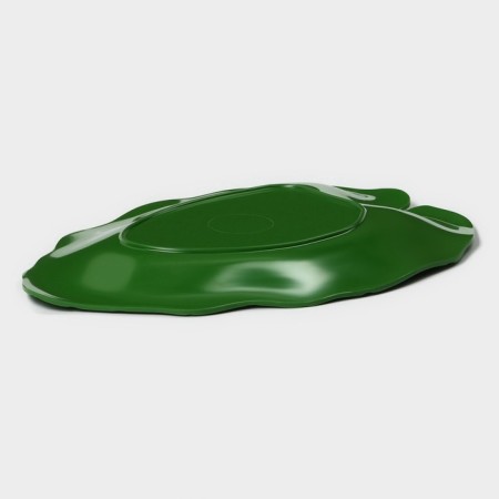 Serve dish "Liszt", 25 × 17 × 2 cm, green color-4