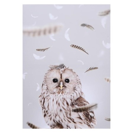 Picture on the canvas "Owl" 50x70 cm