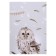 Picture on the canvas "Owl" 50x70 cm