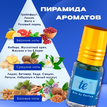 Men's oil perfume Le Blue, 3 ml-1