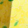 Bann Female Hat "Lemonchik"