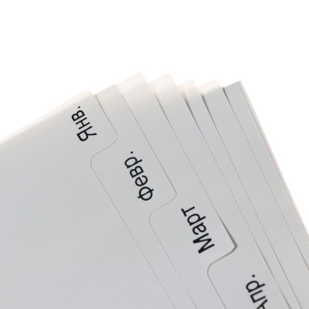 A set of A4 Office-2000 sheets, for months Jan-dek, 12 sheets, gray, plastic 120 μm-2