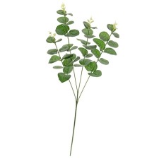 Eucalyptus branch, height 50 cm, green color
