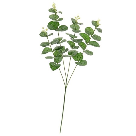 Eucalyptus branch, height 50 cm, green color
