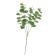 Eucalyptus branch, height 50 cm, green color