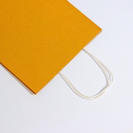 Paper gift package with gold glitter, 21 x 11 x 27 cm-3