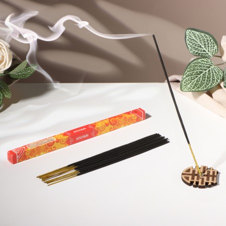 Incense "Breathing of nature antibabak", 8 sticks
