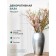 Decorative vase "Modern", 12 × 12 × 20 cm, metallic color