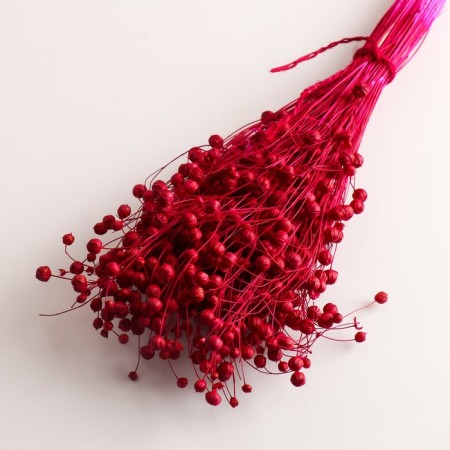 A set of dried flowers "Lenon-long", banch length 55-60 (+/- 6 cm), fuchsia-2