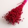 A set of dried flowers "Lenon-long", banch length 55-60 (+/- 6 cm), fuchsia