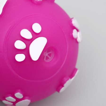 Brying Brying "Paws" for dogs, 5.5 cm, fuchsia-1