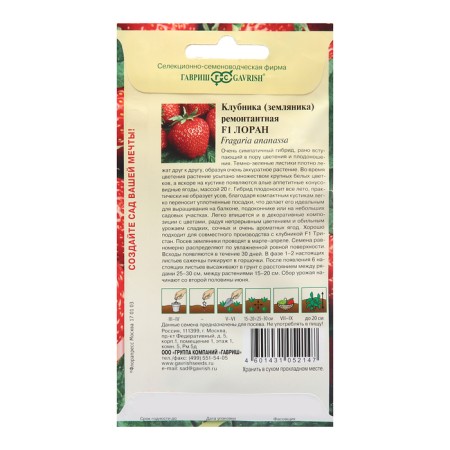 Strawberries "Laurent", F1, 5 pcs.-1