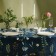 Twilight Forest 146x250 cm tablecloth, 100% cotton, horn 164 g/m2