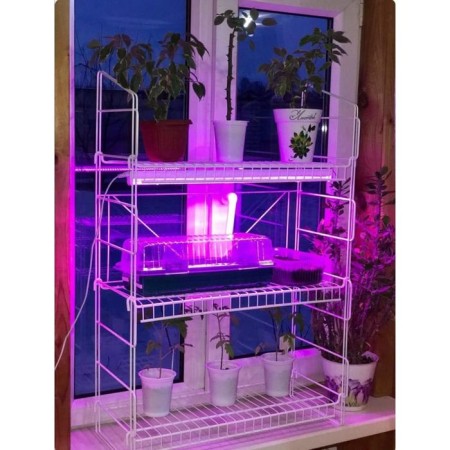 Rabberry for seedlings 33 × 62 × 93 cm, white-2