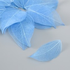 Leaves skeletoned for creativity 