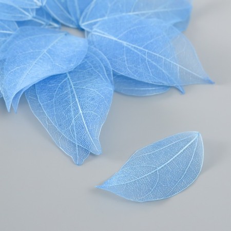 Leaves skeletoned for creativity "blue" set 20 pcs h = 6-6.5 cm