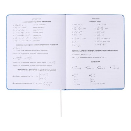 Universal diary for grade 1-11 Modern Concept, solid cover, artificial leather, silkography, liesse, 80 g/m2-7