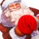 New Year 2025! Poster "New Year's collection: Santa Claus", 26 x 30.2 cm