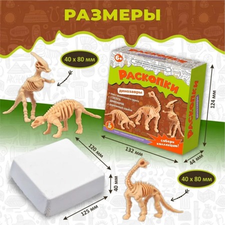 Excavations "Set of young paleontologist", 3 dinosaurus-2