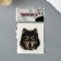 Tattoo on the body "Wolf's face"
