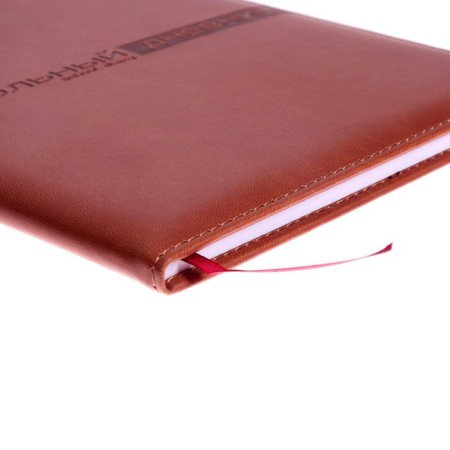 Universal diary for grades 1-11, 48 Velvet sheets, hard cover, artificial leather, thermoting, liesse, block 70 g/m2, brown-2