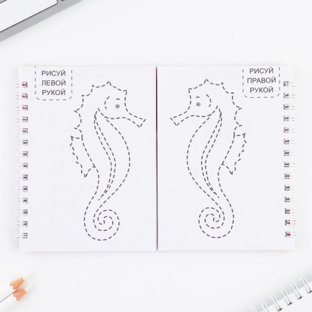 Set: a double notebook with tasks and the pen "The most cool"-4