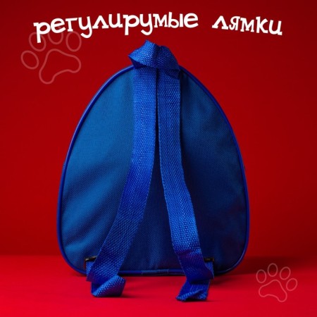 Baby backpack, 23x21x10 cm, puppy patrol-5