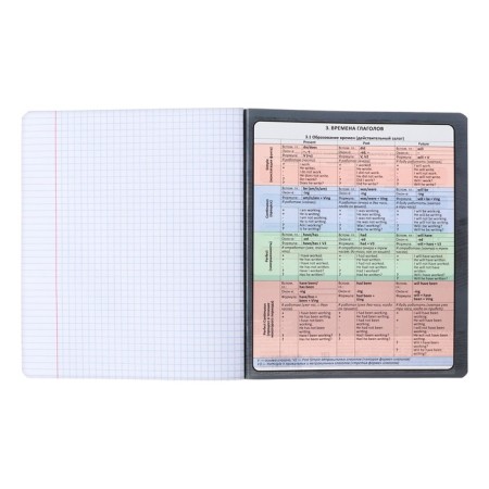Subject notebook, 48 sheets, cage, English Erichkrause "Chubrik", plastic cover silkography, Blok Offset 100%, information block-4
