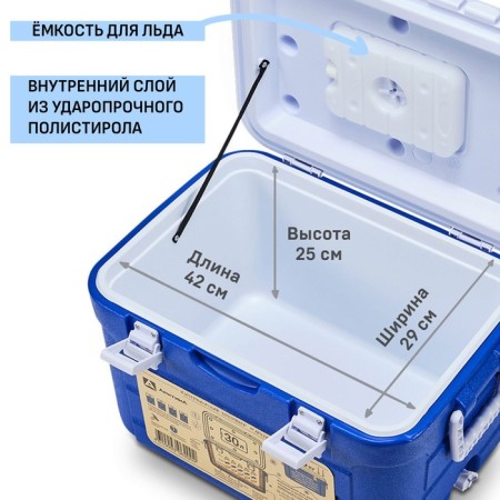 Thermocontiner "Arctic", 30 l, 52 x 36.5 x 33 cm, blue-2