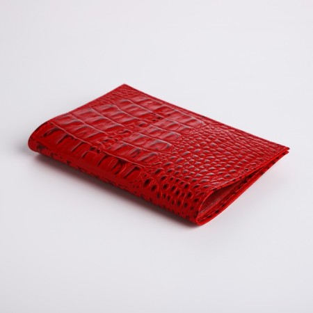 Cover for passport, kayman, red color-2