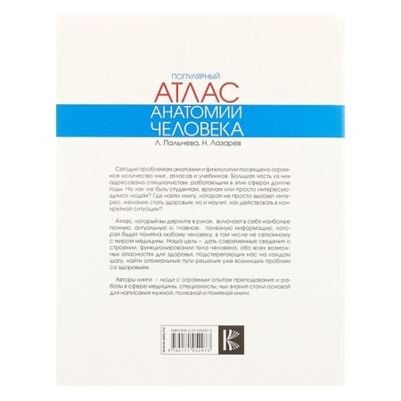 Популярный атлас анатомии человека. Палычева Л.Н.-5