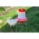 Bunker feeder for poultry at 10 kg, plastic