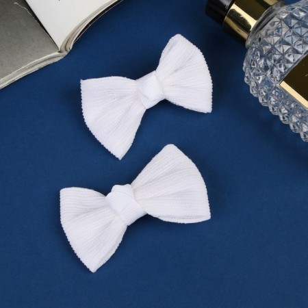 Hair clip "Schoolgirl" (set 2 pcs) stripes, 6 cm, white