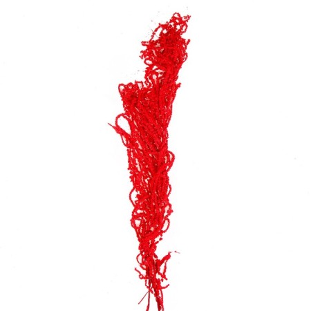 Dry amaranth flowers, 100 g, sheet size: from 50 to 60 cm, red color-2