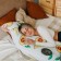 Avocado cushion