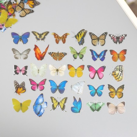 Stickers for creativity PLC PVC "Flower butterflies" set 60 pcs 10x14 cm