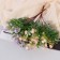 Bouquet "Cicoria ordinary" 30 cm, mix