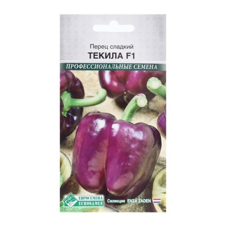 Seeds sweet tequila f1, 5 pcs
