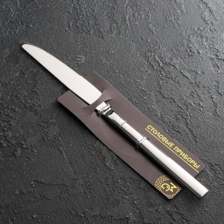 A stainless steel knife Magistro Line, length 23 cm, silver color-2