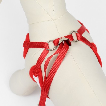 A set with a soft harness and a bantic "Cell", size M, leash 120 x 1.5 cm, og 28-46 cm-3