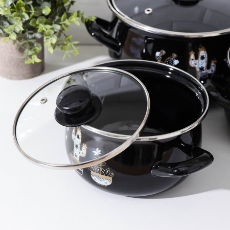 Set of pots "Black cacti", 3 subjects: 2.1 l, 3.1 l, 4 l, induction-1